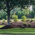 Neighborhood Greenspace by Southern Lawnscapes